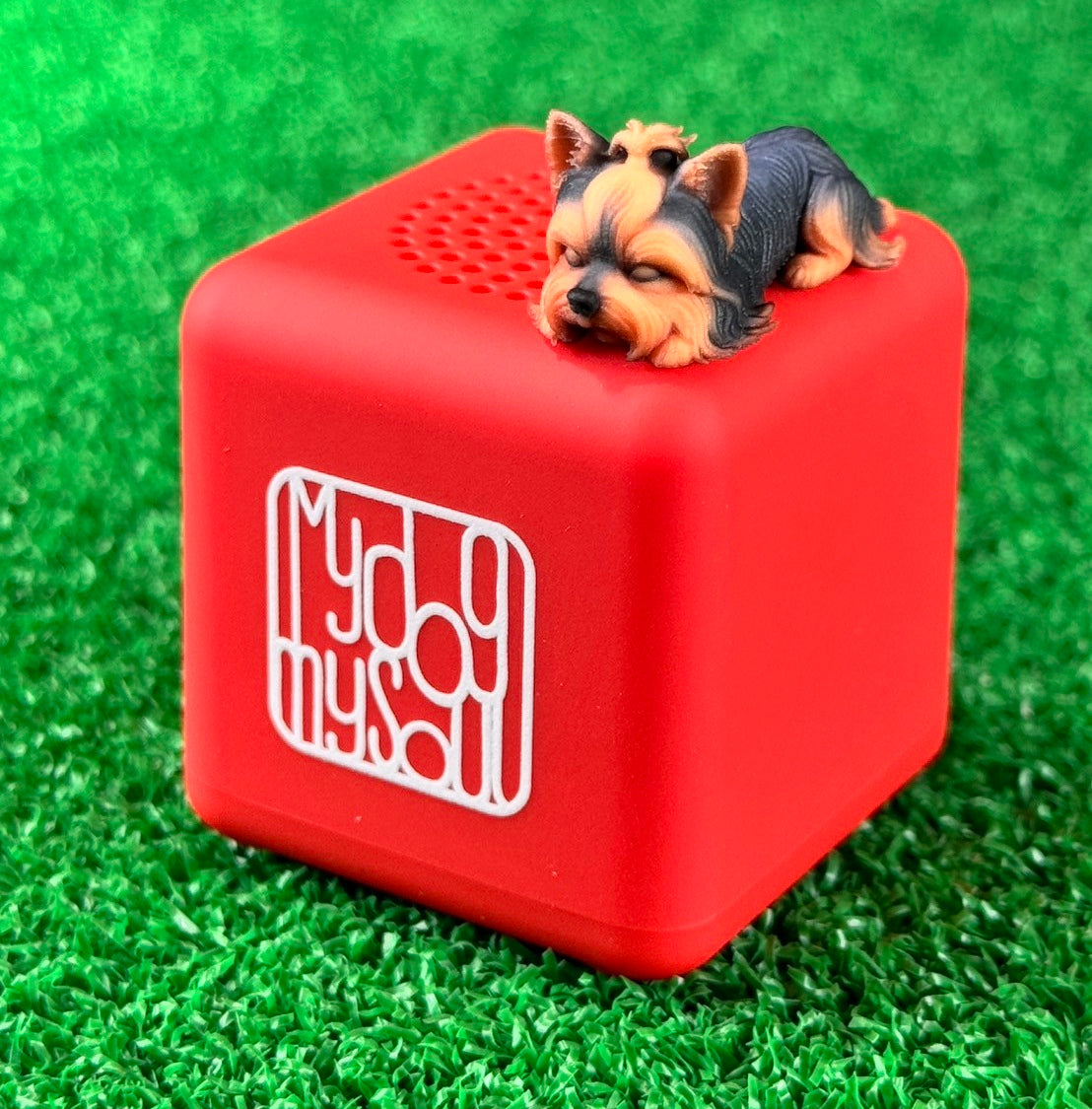 マイ ドッグ マイ ソウル ヨークシャーテリア