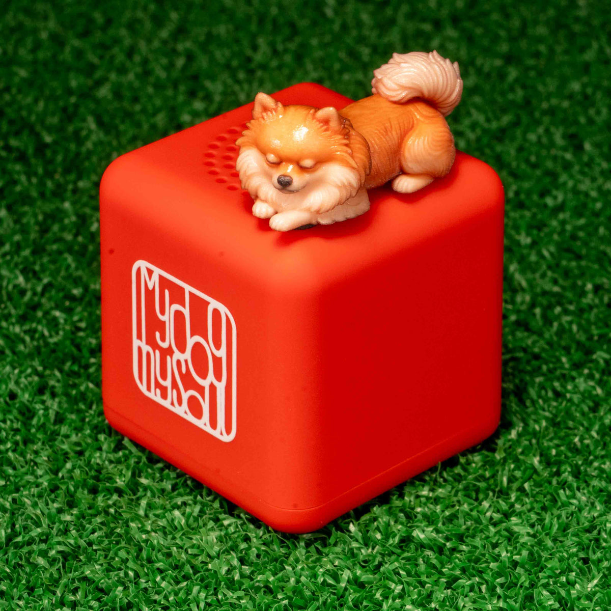 マイ ドッグ マイ ソウル ポメラニアン クリーム