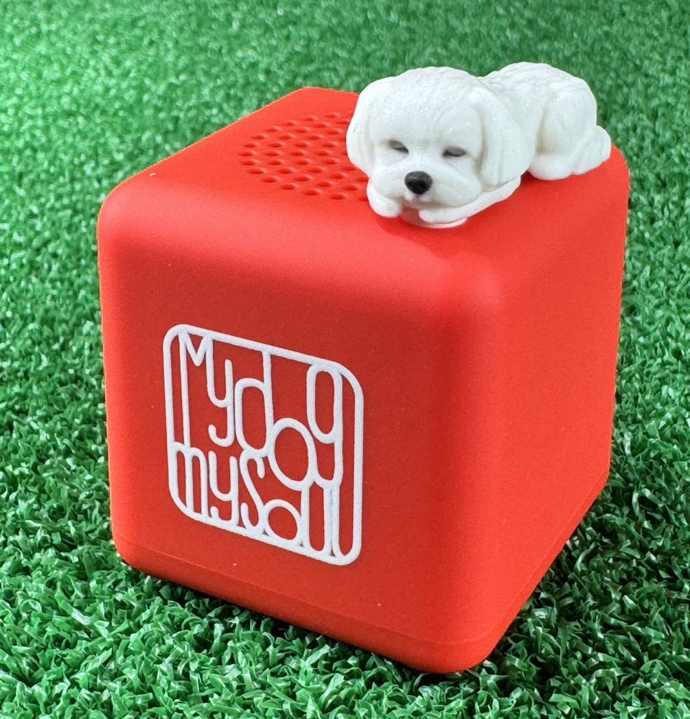 マイ ドッグ マイ ソウル マルチーズ