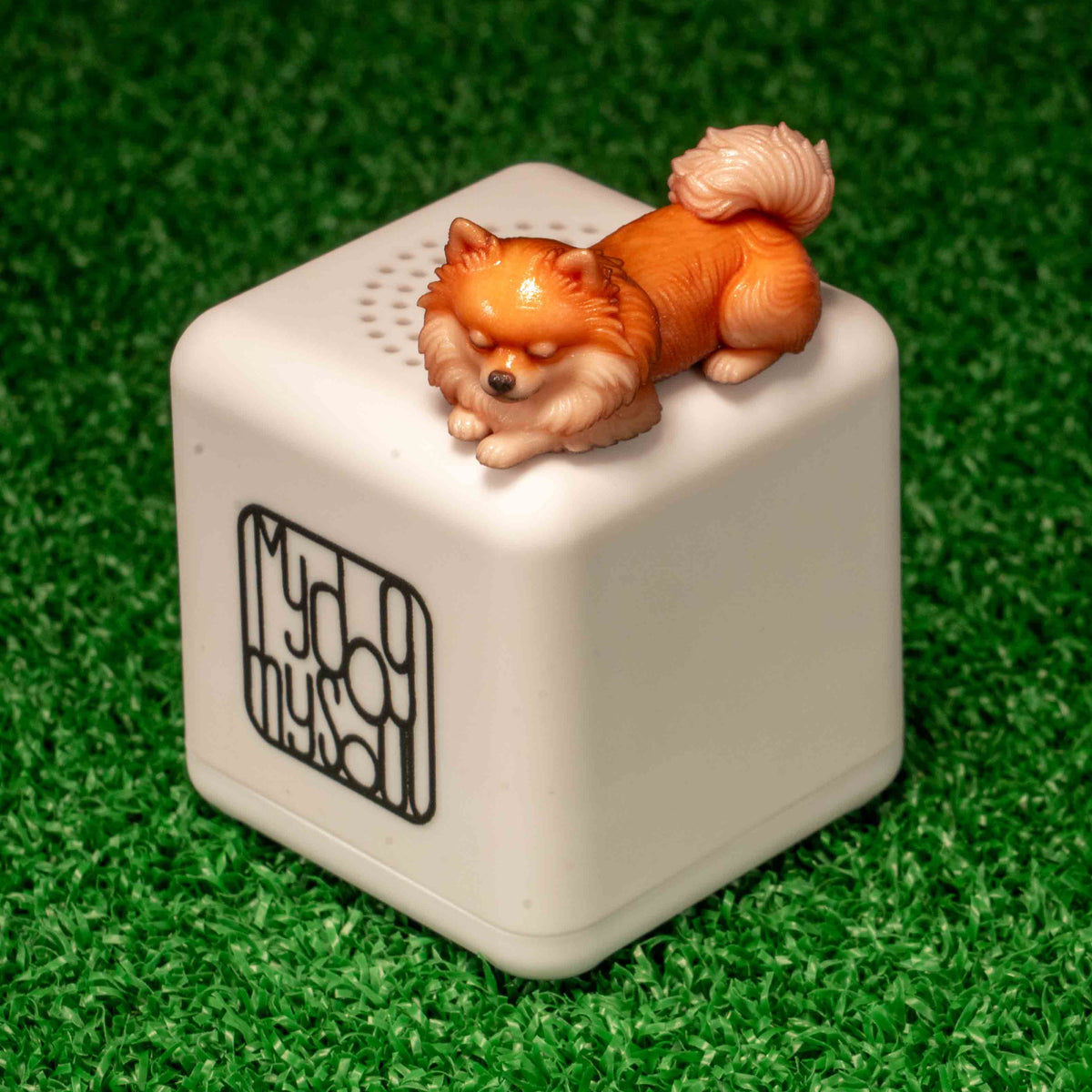 マイ ドッグ マイ ソウル ポメラニアン クリーム