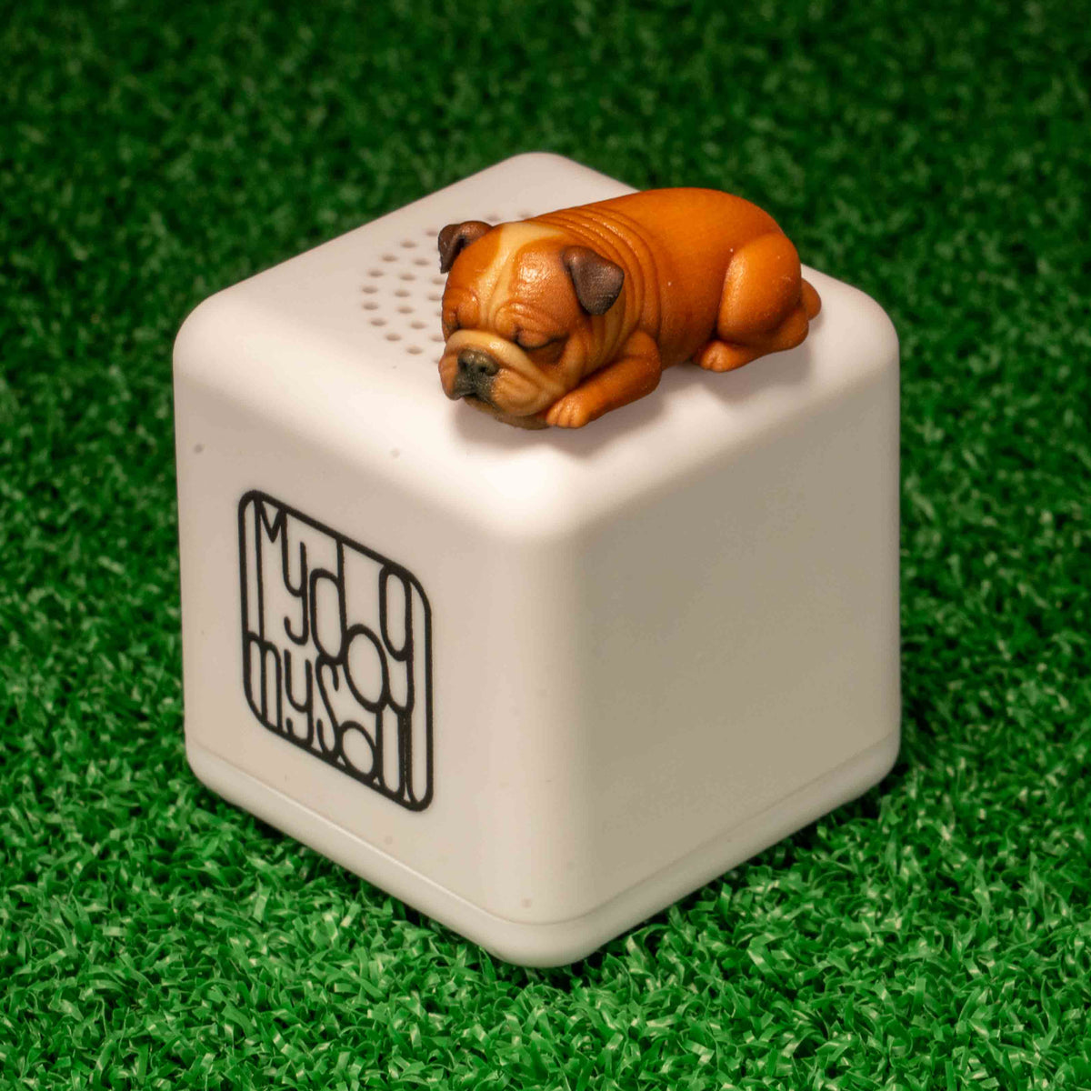 マイ ドッグ マイ ソウル ブルドッグ