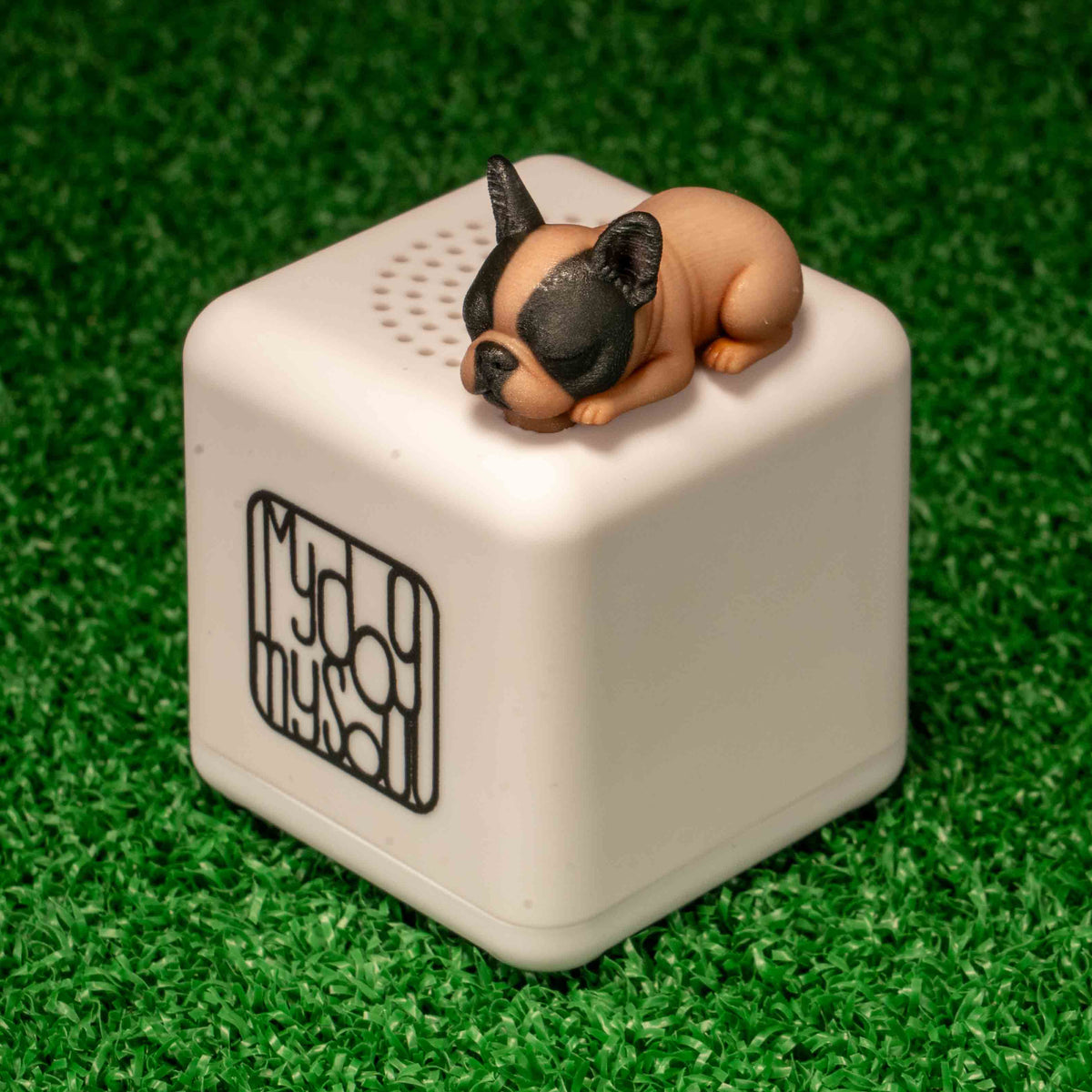 マイ ドッグ マイ ソウル フレンチブルドッグ バイド