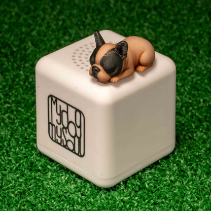 マイ ドッグ マイ ソウル フレンチブルドッグ バイド