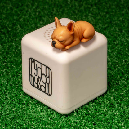 マイ ドッグ マイ ソウル フレンチブルドッグ クリーム