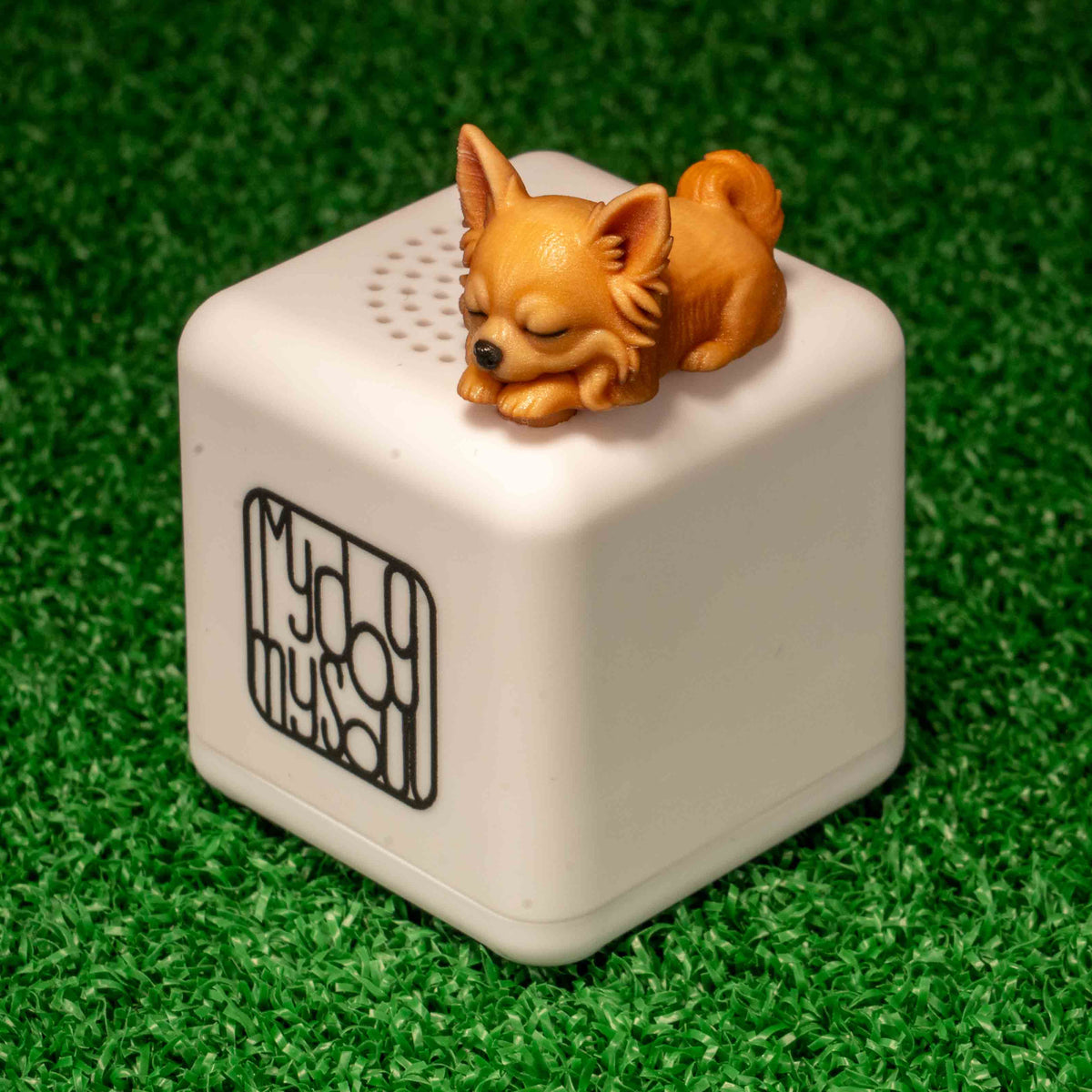 マイ ドッグ マイ ソウル チワワ クリーム