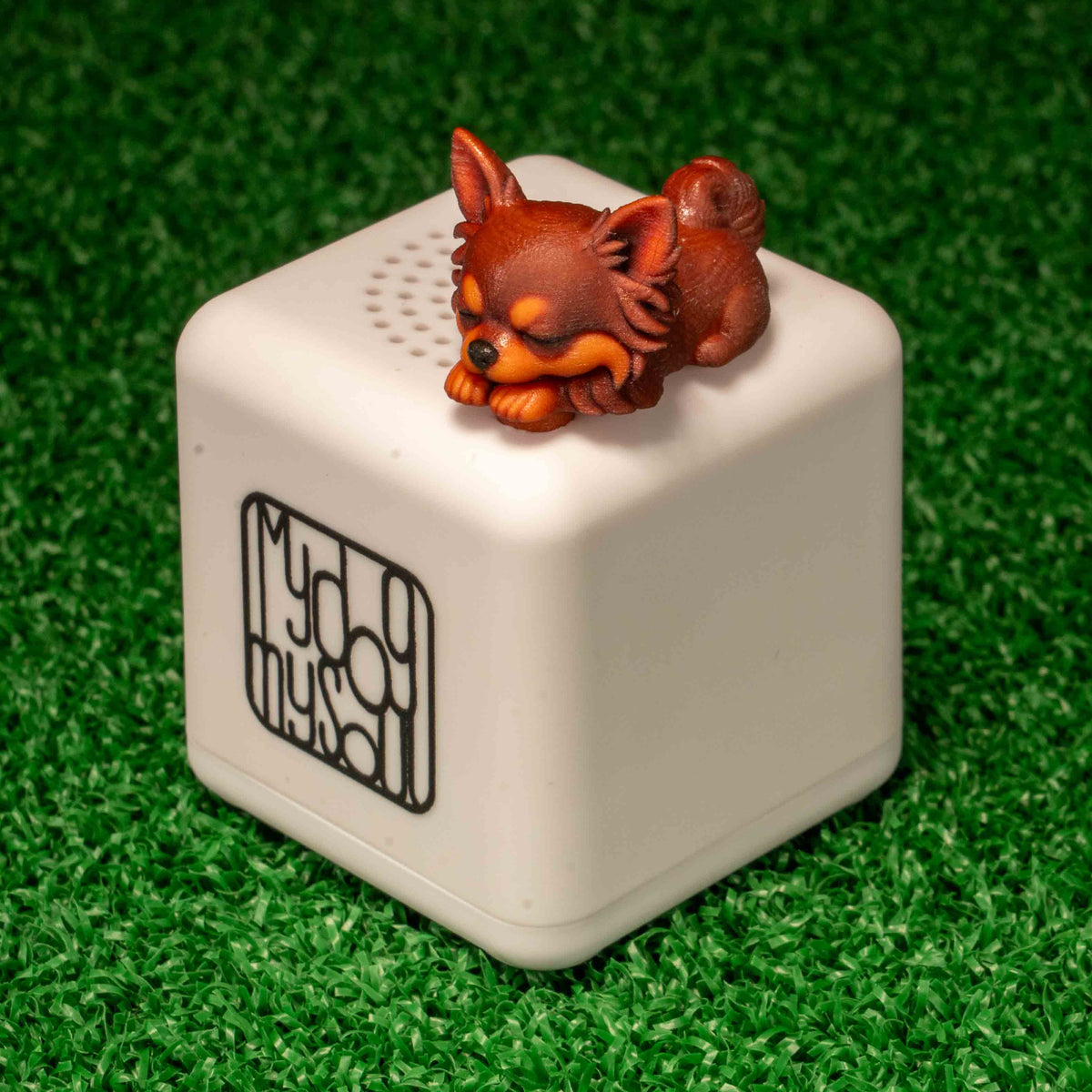マイ ドッグ マイ ソウル チワワ レッド