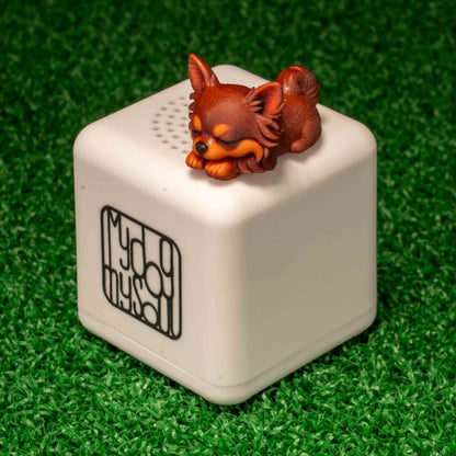 マイ ドッグ マイ ソウル チワワ レッド
