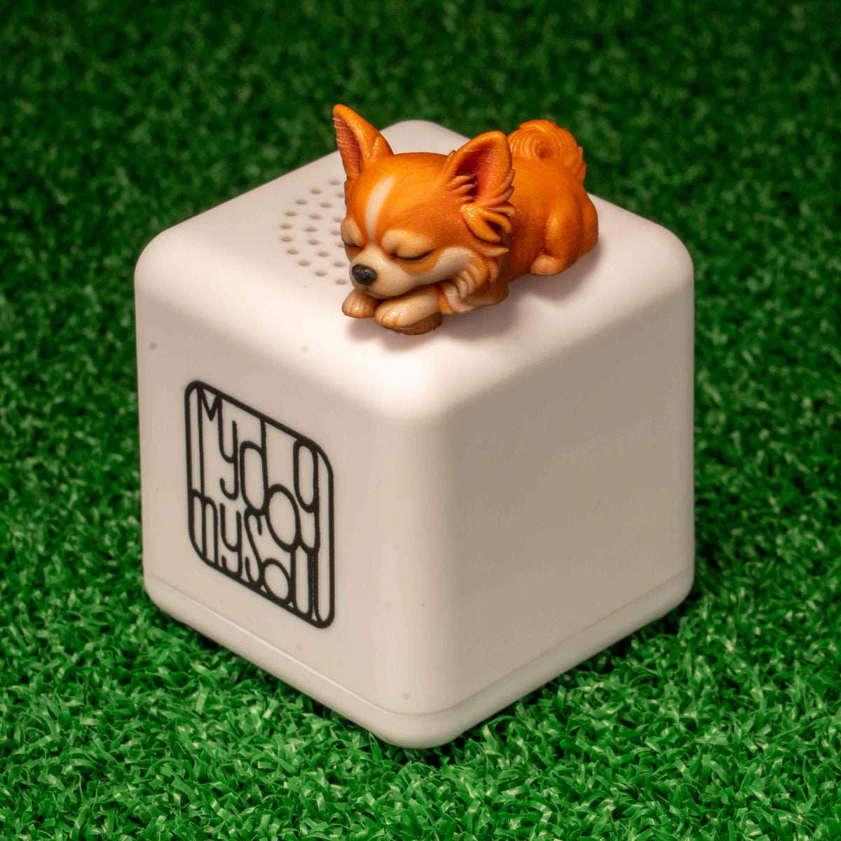マイ ドッグ マイ ソウル チワワ フォーン