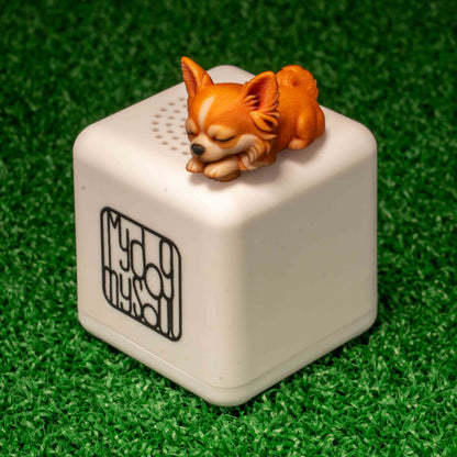 マイ ドッグ マイ ソウル チワワ フォーン