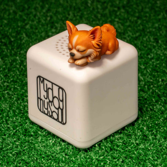 マイ ドッグ マイ ソウル チワワ フォーン