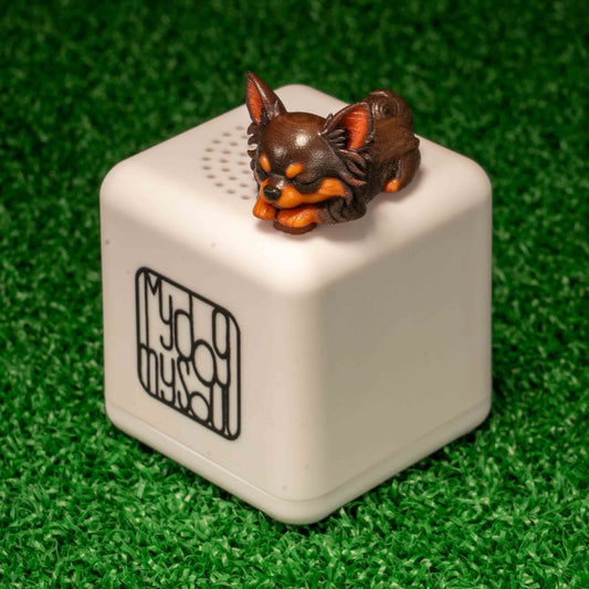 マイ ドッグ マイ ソウル チワワ チョコタン