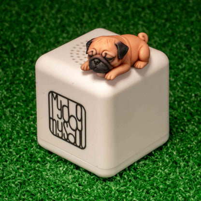 マイ ドッグ マイ ソウル パグ