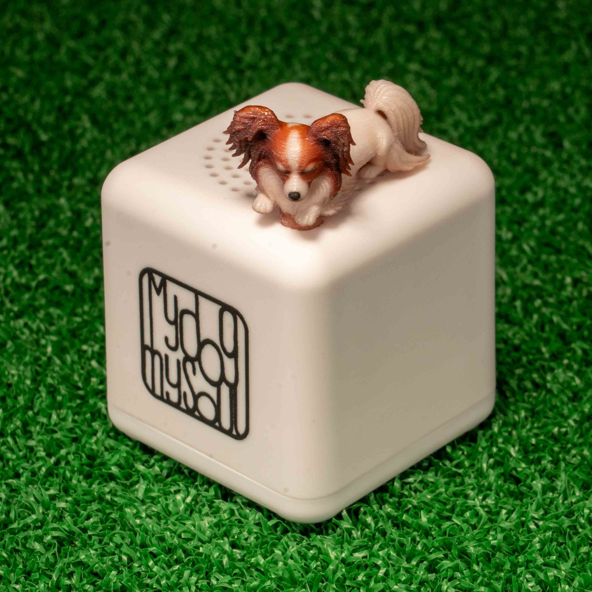 マイ ドッグ マイ ソウル パピオン