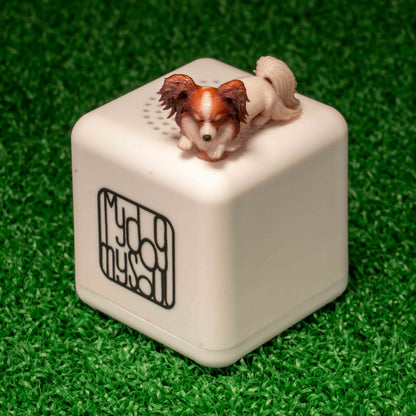 マイ ドッグ マイ ソウル パピオン
