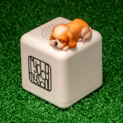 マイ ドッグ マイ ソウル シーズ