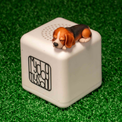 マイ ドッグ マイ ソウル ビーグル