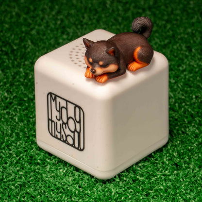 マイ ドッグ マイ ソウル 柴犬 黒柴
