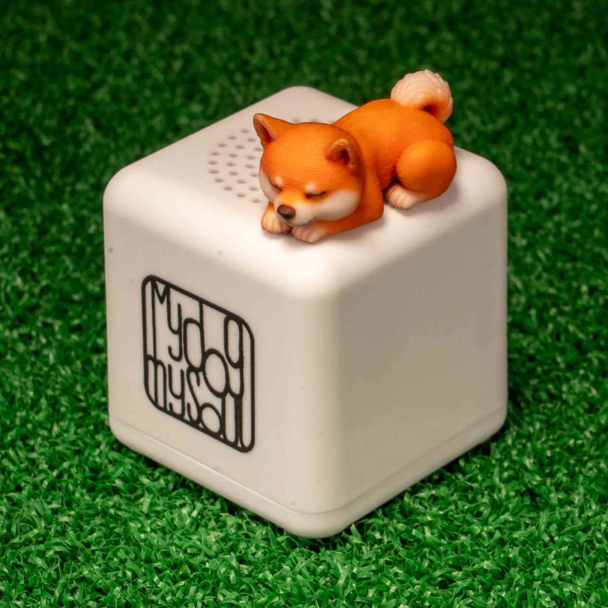 マイ ドッグ マイ ソウル 柴犬 赤柴