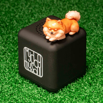 マイ ドッグ マイ ソウル ポメラニアン クリーム