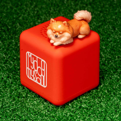 マイ ドッグ マイ ソウル ポメラニアン クリーム