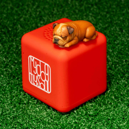 マイ ドッグ マイ ソウル ブルドッグ
