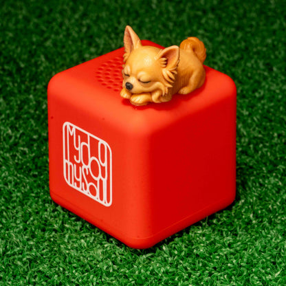 マイ ドッグ マイ ソウル チワワ クリーム