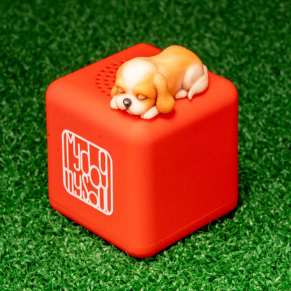 マイ ドッグ マイ ソウル シーズ