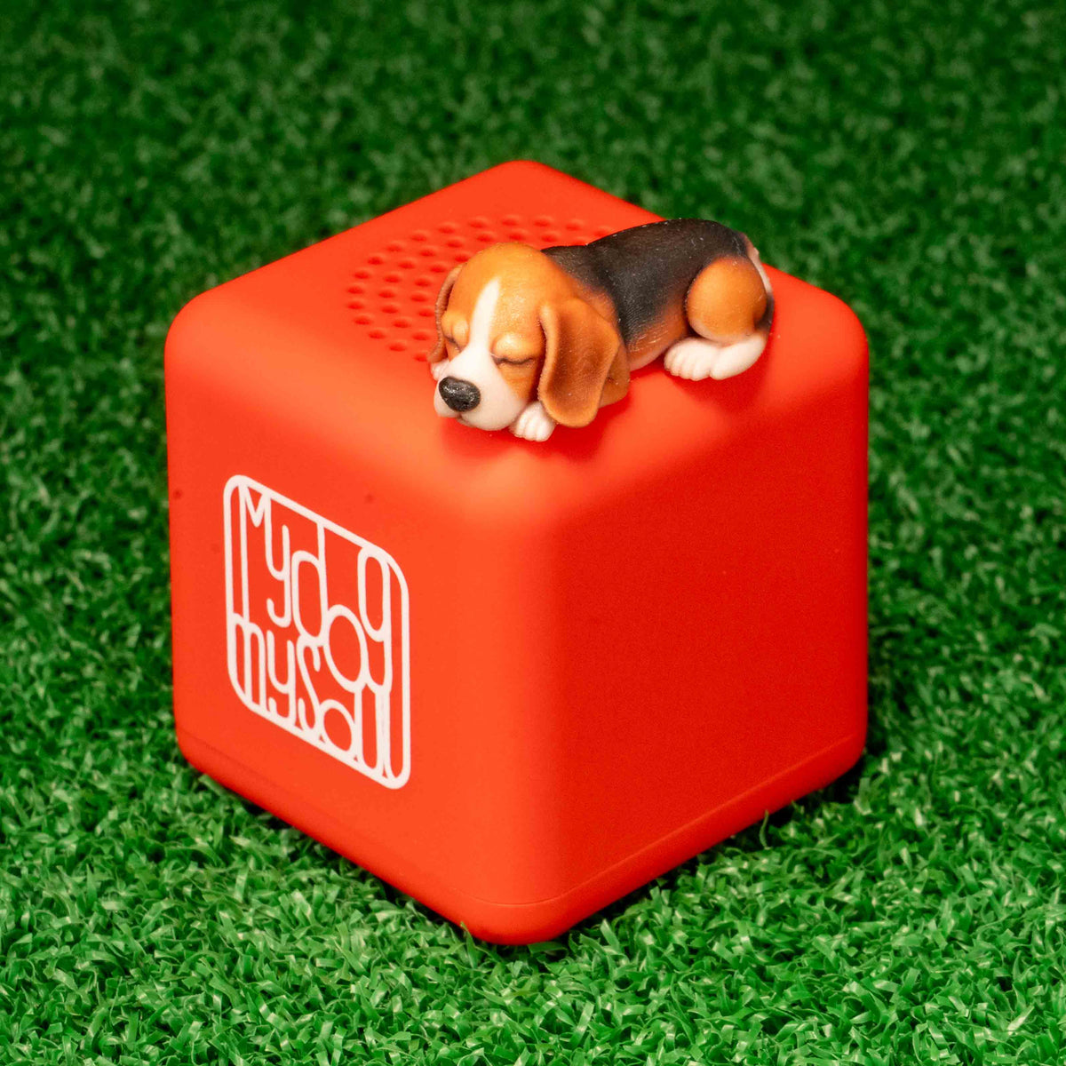 マイ ドッグ マイ ソウル ビーグル