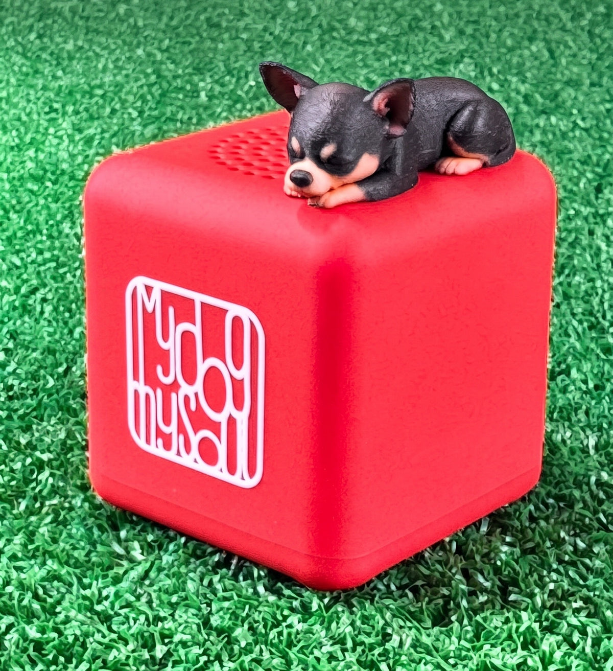 マイ ドッグ マイ ソウル チワワスムース ブラック